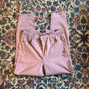 Buffalo David Bitton